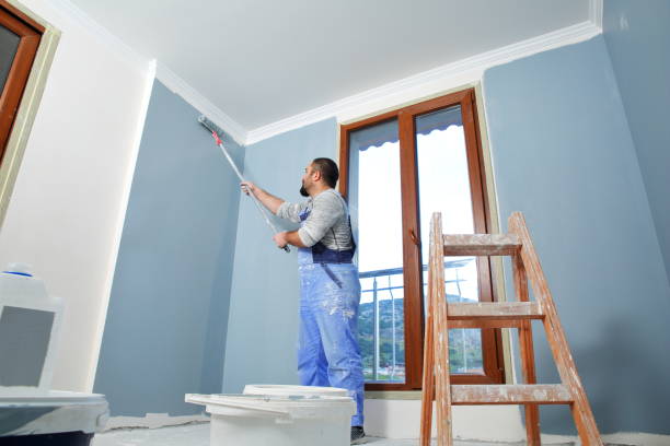  Clarion, IA Dry wall and painting Pros