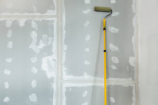 Best Water-Damaged Drywall Repair  in Clarion, IA