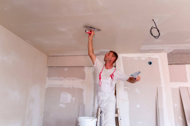 Best Custom Drywall Designs  in Clarion, IA